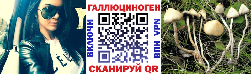 как найти закладки  Красноуральск  МЕГА ONION  нарко площадка какой сайт  Псилоцибиновые грибы мухоморы 